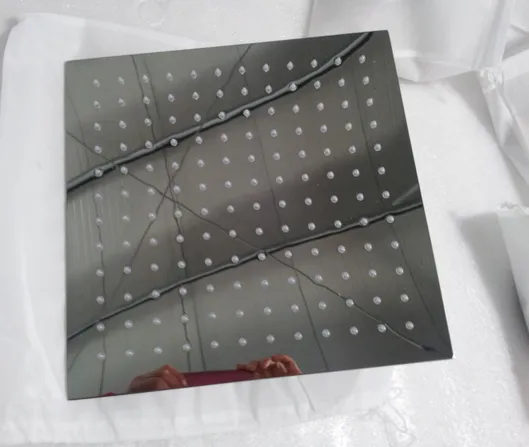 33513 Good Quality Certificate Approved Stainless Steel Shower Head