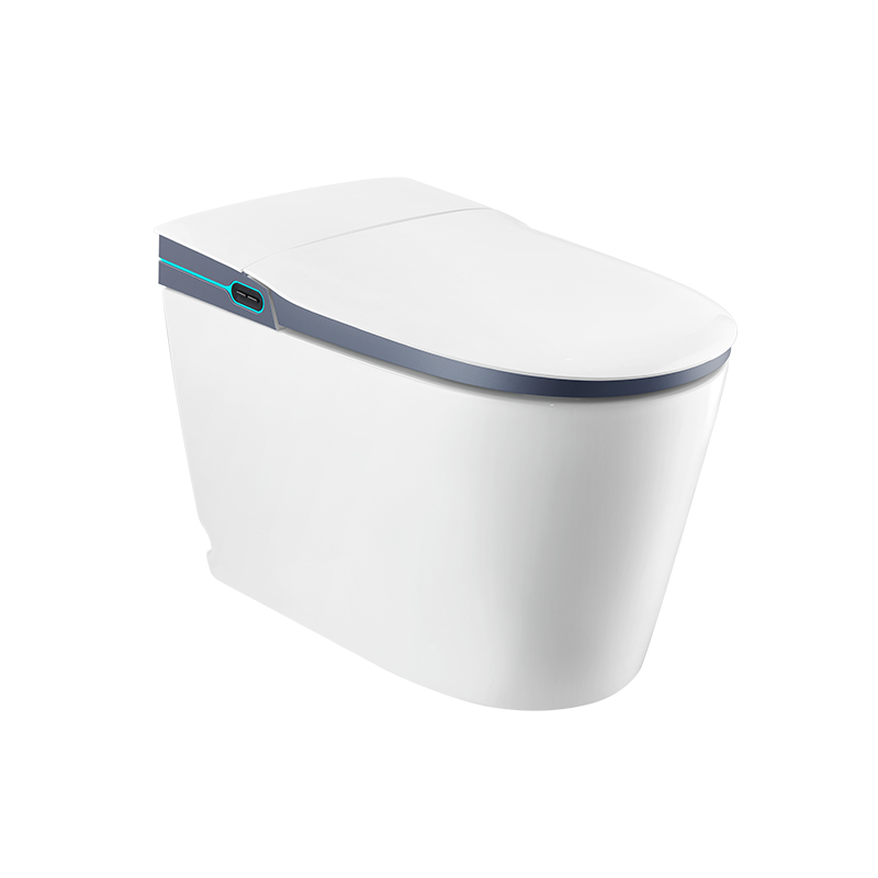 Intelligent Toilet