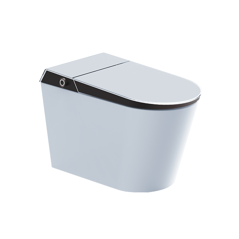 Intelligent Toilet