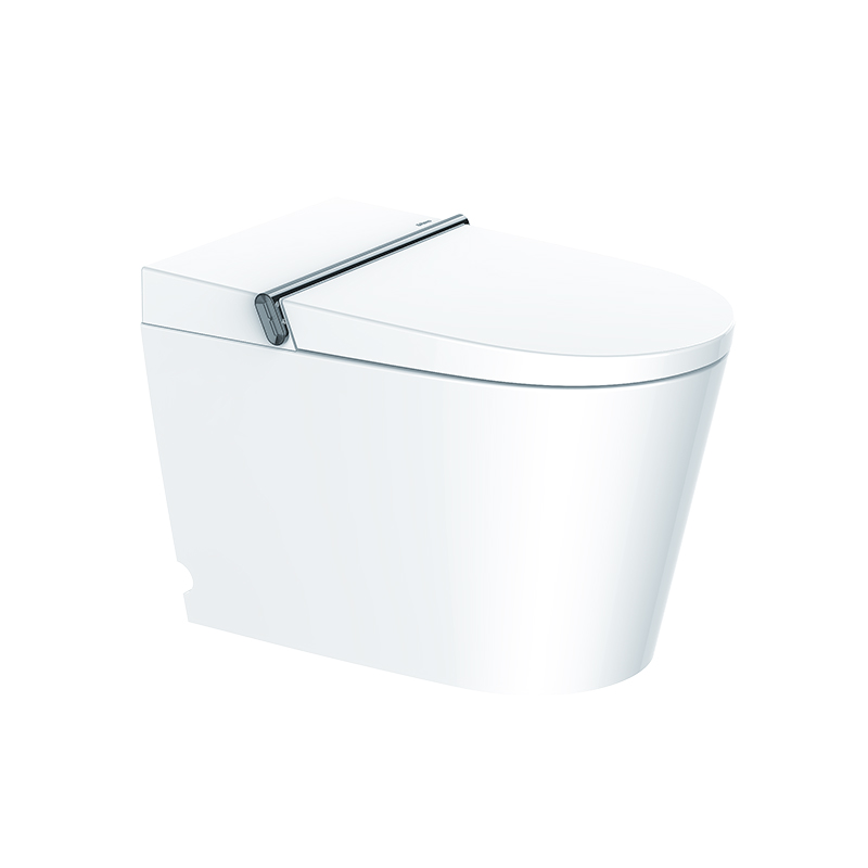 Intelligent Toilet