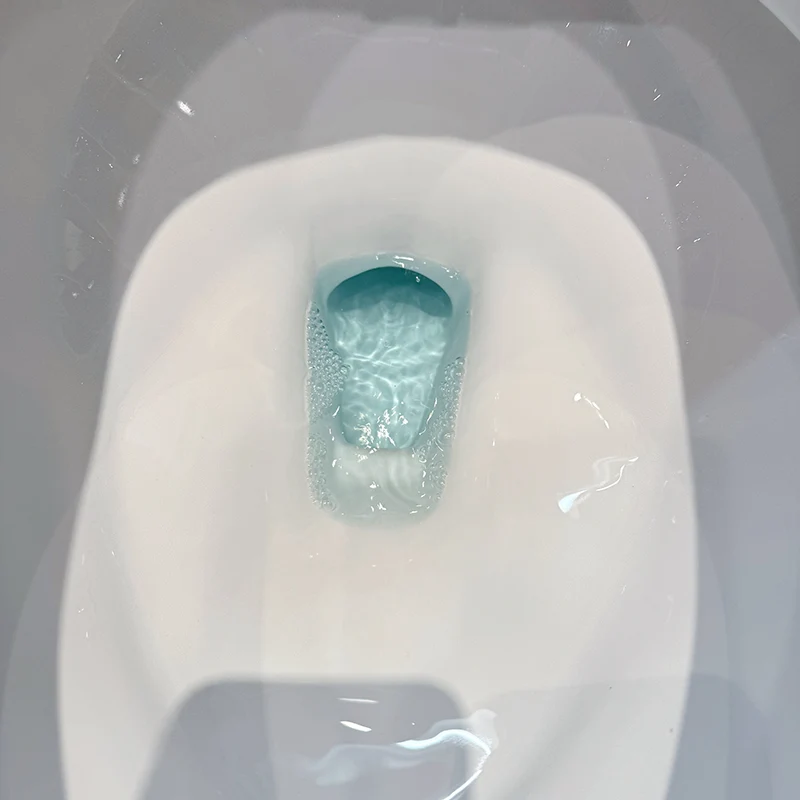 Toilet Wash Liquid