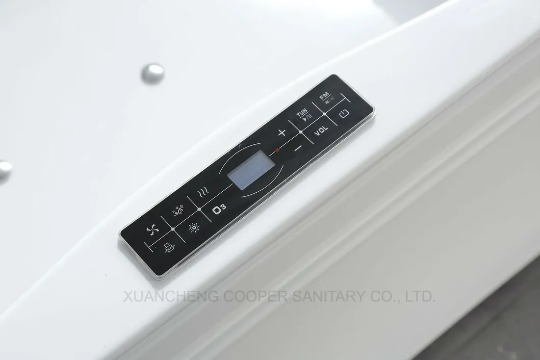 Two Person SPA Massage Latest Jacuzzi Hot Tub